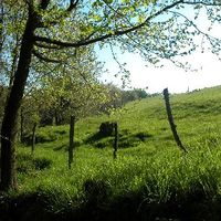 Uztapide Eguna 2004 - Altzo