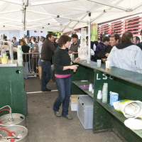 TXAPELKETA NAGUSIA (15. 2009.) -  AZKEN-LAURDENAK -