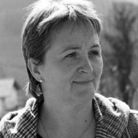 xdz4/xdz4_arg/xdz4_arg_d/xdz4_arg_d319/xdz4_arg_d319_b 37 A jpg/xdz4_arg_d319_b 37 A jpg_po11bn.jpg