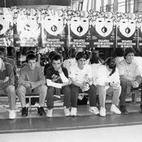 GIPUZKOAKO ESKOLARTEKO BERTSOLARI TXAPELKETA 1993 -