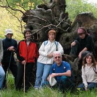 xdz4/xdz4_arg/xdz4_arg_d/xdz4_arg_d192/xdz4_arg_d192_2004-05-14 Bedaio-Altzo/xdz4_arg_d192_2004-05-14_Bedaio-Altzo_DSCN0035.JPG