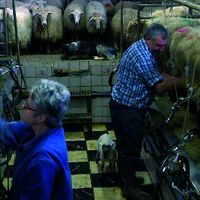 BERTSOLARI ALDIZKARIA (88. zk.) -  Xalbadorri buruzko dokumentala -