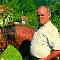 xdz4_arg/xdz4_arg/xdz4_arg_d/xdz4_arg_d303/xdz4_arg_d303_b 28 B/xdz4_arg_d303_b 28 B_12-RCL.BERTSO.ngs1.jpg