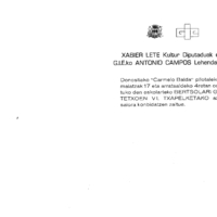 Bertsolaritza.  Bertso txapelketak: