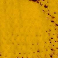 xdz4/xdz4_arg_d/xdz4_arg_d327/xdz4_arg_d327_tif b41 CD1/xdz4_arg_d327_41CD1_ja2.jpg