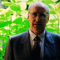 BERTSOLARI ALDIZKARIA (34. zk.) -  D -