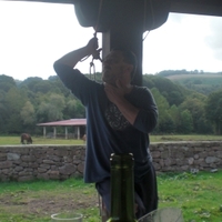 BERTSOLARI TXAPELKETA NAGUSIA (16. 2013.) -  BAZKARIAK -