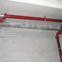 xdz4_arg/xdz4_arg/xdz4_arg_d/xdz4_arg_d456/xdz4_arg_d456_2008-01 Mintzola/xdz4_arg_d456_2008-01-Mintzola_PC110007.jpg