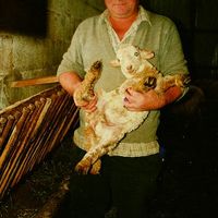 xdz4/xdz4_arg/xdz4_arg_d/xdz4_arg_d302/xdz4_arg_d302_b 28 A/xdz4_arg_d302_b 28 A_51-RCL.BERTSO.ngs1.jpg