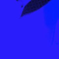 xdz4/xdz4_arg/xdz4_arg_d/xdz4_arg_d331/xdz4_arg_d331_B47 irudiak2/xdz4_arg_d331_B47 irudiak2_f1.jpg