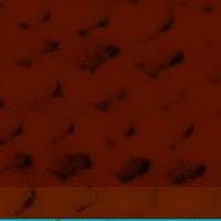 xdz4/xdz4_arg_d/xdz4_arg_d327/xdz4_arg_d327_tif b41 CD1/xdz4_arg_d327_41CD1_jt1.jpg