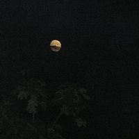 xdz4/xdz4_arg/xdz4_arg_d/xdz4_arg_d406/xdz4_arg_d406_Lizardi saria 2007/xdz4_arg_d406_Lizardi saria 2007_1. kanporaketa 2007-09-03/xdz4_arg_d406_2007_Lizardi saria_2007-09-03_1. kanporaketa_Imagen 006.jpg