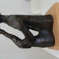 xdz4_arg/xdz4_arg/xdz4_arg_d/xdz4_arg_d610/xdz4_arg_d610_2009-12-01 Sariak/xdz4_arg_d610_2009-12-01-Sariak_P1140818.jpg