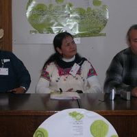 xdz4_arg/xdz4_arg/xdz4_arg_d/xdz4_arg_d147/xdz4_arg_d147_031105 miramar/xdz4_arg_d147_03-11-05_miramar_DSCN1427.JPG