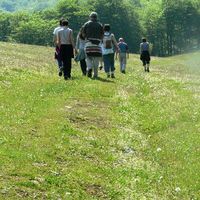 xdz4/xdz4_arg/xdz4_arg_d/xdz4_arg_d429/xdz4_arg_d429_2006-05-12 uztapide/xdz4_arg_d429_2006-05-12_uztapide_P1070130.JPG