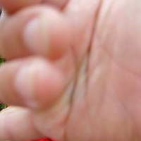 xdz4_arg/xdz4_arg/xdz4_arg_d/xdz4_arg_d621/zarautz txiki 2. txanda/xdz4_arg_d621_zarautz-txiki-2.-txanda_P6180054.jpg