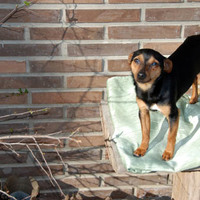 xdz4_arg/xdz4_arg/xdz4_arg_d/xdz4_arg_d547/xdz4_arg_d547_Uxue eta Kontxi Iturain/xdz4_arg_d547_Uxue-eta-Kontxi-Iturian_DSC_0095.jpg