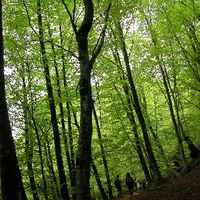 xdz4/xdz4_arg/xdz4_arg_d/xdz4_arg_d192/xdz4_arg_d192_2004-05-14 Bedaio-Altzo/xdz4_arg_d192_2004-05-14_Bedaio-Altzo_DSCN0043.JPG