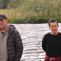 Bertso ibilbidea sagastietan