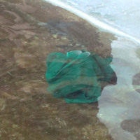 xdz4_arg/xdz4_arg/xdz4_arg_d/xdz4_arg_d512/xdz4_arg_d512_2. eguna/xdz4_arg_d512_2.eguna_DSC00675.jpg