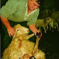 xdz4_arg/xdz4_arg/xdz4_arg_d/xdz4_arg_d303/xdz4_arg_d303_b 28 B/xdz4_arg_d303_b 28 B_53-RCK.2BERTSO.ngs1.jpg