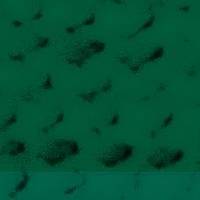 xdz4/xdz4_arg_d/xdz4_arg_d327/xdz4_arg_d327_tif b41 CD1/xdz4_arg_d327_41CD1_b1.jpg