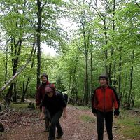 xdz4/xdz4_arg/xdz4_arg_d/xdz4_arg_d192/xdz4_arg_d192_2004-05-14 Bedaio-Altzo/xdz4_arg_d192_2004-05-14_Bedaio-Altzo_DSCN0038.JPG