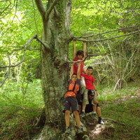 xdz4_arg/xdz4_arg/xdz4_arg_d/xdz4_arg_d512/xdz4_arg_d512_7. eguna/xdz4_arg_d512_7.eguna_DSC01152.jpg