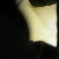 xdz4/xdz4_arg/xdz4_arg_d/xdz4_arg_d192/xdz4_arg_d192_2004-01-31 Orio/xdz4_arg_d192_2004-01-31_Orio_DSCN2426.JPG