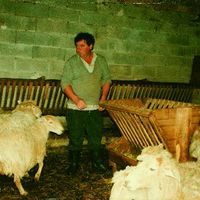 xdz4/xdz4_arg/xdz4_arg_d/xdz4_arg_d302/xdz4_arg_d302_b 28 A/xdz4_arg_d302_b 28 A_49-RCL.2BERTSO.ngs1.jpg