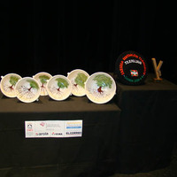 Arabako Bertsolari Txapelketa 2009 - Finala