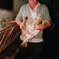 xdz4_arg/xdz4_arg/xdz4_arg_d/xdz4_arg_d328/xdz4_arg_d328_B46/xdz4_arg_d328_b46_2. irudiak B46/xdz4_arg_d328_B46_2.irudiak_begiristain3.jpg