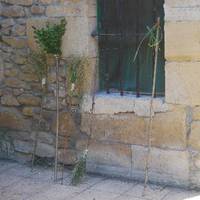 xdz4_arg/xdz4_arg/xdz4_arg_d/xdz4_arg_d638/6. eguna/xdz4_arg_d638_6.-eguna_DSC_0006.jpg