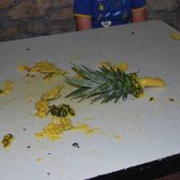 xdz4_arg/xdz4_arg/xdz4_arg_d/xdz4_arg_d638/2. eguna/xdz4_arg_d638_2.-eguna_DSC_0200.jpg