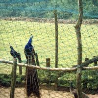 xdz4/xdz4_arg/xdz4_arg_d/xdz4_arg_d242/xdz4_arg_d242_Sin título-28.jpg