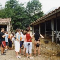 xdz4/xdz4_arg/xdz4_arg_d/xdz4_arg_d242/xdz4_arg_d242_Sin título-25.jpg