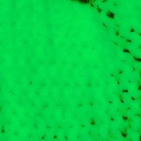 xdz4/xdz4_arg/xdz4_arg_d/xdz4_arg_d526/xdz4_arg_d526_bertsolari aldizkaria/xdz4_arg_d526_bertsolari aldizkaria_50/xdz4_arg_d526_bertsolari aldizkaria_49_50B/xdz4_arg_d526_bertsolari aldizkaria_50_50B_xz2.jpg