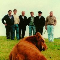 xdz4/xdz4_arg/xdz4_arg_d/xdz4_arg_d302/xdz4_arg_d302_b 28 A/xdz4_arg_d302_b 28 A_6-RCL.BERTSO.ngs1.jpg