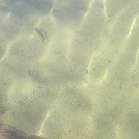 xdz4_arg/xdz4_arg/xdz4_arg_d/xdz4_arg_d463/xdz4_arg_d463_5. eguna/xdz4_arg_d463_5.eguna_P1010038.jpg