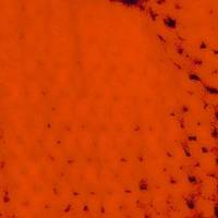 xdz4/xdz4_arg_d/xdz4_arg_d327/xdz4_arg_d327_tif b41 CD1/xdz4_arg_d327_41CD1_t2.jpg