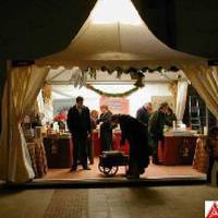 BERTSOLARI ALDIZKARIA (50. zk.) -