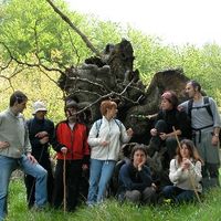 xdz4/xdz4_arg/xdz4_arg_d/xdz4_arg_d192/xdz4_arg_d192_2004-05-14 Bedaio-Altzo/xdz4_arg_d192_2004-05-14_Bedaio-Altzo_DSCN0032.JPG