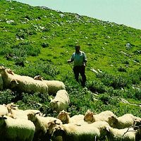 xdz4_arg/xdz4_arg/xdz4_arg_d/xdz4_arg_d303/xdz4_arg_d303_b 28 B/xdz4_arg_d303_b 28 B_55-RCK.BERTSO.ngs1.jpg