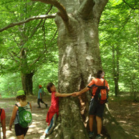 xdz4_arg/xdz4_arg/xdz4_arg_d/xdz4_arg_d463/xdz4_arg_d463_7. eguna/xdz4_arg_d463_7.eguna_DSC01137.jpg