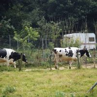 xdz4/xdz4_arg/xdz4_arg_d/xdz4_arg_d242/xdz4_arg_d242_Sin título-24.jpg