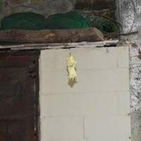 xdz4_arg/xdz4_arg/xdz4_arg_d/xdz4_arg_d638/2. eguna/xdz4_arg_d638_2.-eguna_DSC_0226.jpg