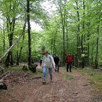 xdz4/xdz4_arg/xdz4_arg_d/xdz4_arg_d192/xdz4_arg_d192_2004-05-14 Bedaio-Altzo/xdz4_arg_d192_2004-05-14_Bedaio-Altzo_DSCN0037.JPG