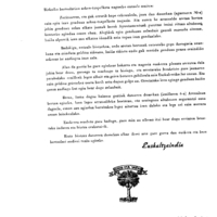 Bertsolaritza:  Euskaltzaindiaren gutuna finala altabozen tira-bira zela medio ezin ospatu izanagatik  barkamena eske