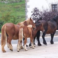 xdz4/xdz4_arg/xdz4_arg_d/xdz4_arg_d345/xdz4_arg_d345_2005-09-00 Astiz - Transmisioa- A-MENDILUZE/xdz4_arg_d345_2005-09-00_Astiz - Transmisioa- A-MENDILUZE_100_0552.JPG