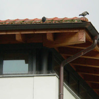 xdz4_arg/xdz4_arg/xdz4_arg_d/xdz4_arg_d537/xdz4_arg_d537_2008-10-07 Mintzola/xdz4_arg_d537_2008-10-07-Mintzola_P1110525.jpg